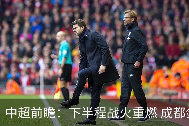 中超前瞻：下半程战火重燃 成都剑指三分申花求反弹